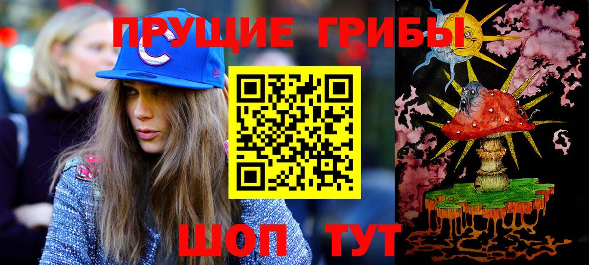Псилоцибиновые грибы Psilocybine cubensis Озёры