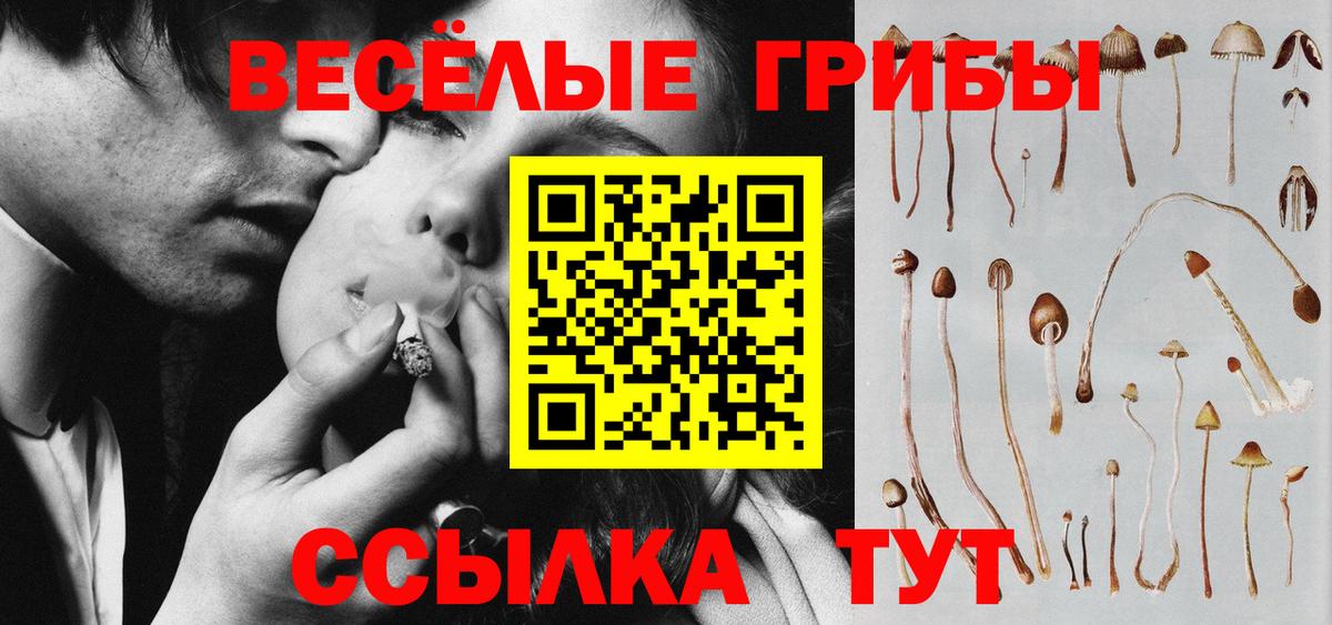 где купить   Псилоцибиновые грибы Cubensis  Вход с VPN  Озёры 